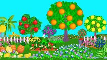 The Fruit Song. Learn Fruits for Kids. Learning Fruit Names. Video for Children.