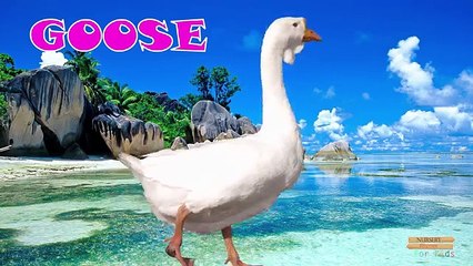 Domestic Animals learning Nursery Rhymes | Domestic animals Names for Children to learn