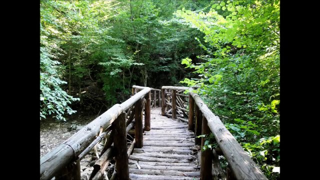 #Strandja #mountain #village #Mladejko #Burgas #Bulgaria гора Странджа с. Младежко Бургас Болга... [HD, 720p]