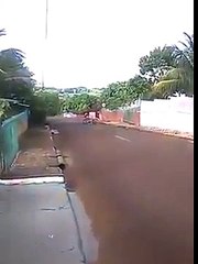 TUA MAE AQUELA CADELA