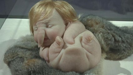 انسان در کپنهاگ؛ خدای من آیا اینها زنده هستند؟