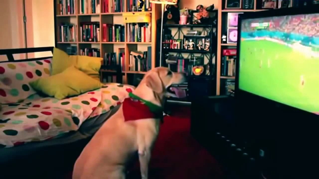 ЛУЧШАЯ ПОДБОРКА ПРИКОЛОВ 2016