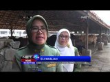 Rumah Pemotongan Hewan Sepi Aktifitas Akibat Harga Daging Sapi - Naik NET24