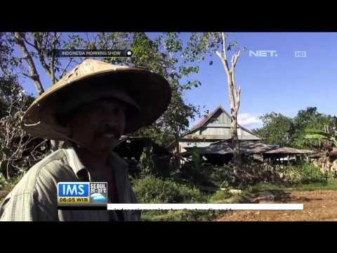 Kemarau Panjang, Petani di Sulsel Tunda Tanam Padi - IMS