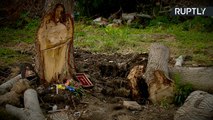 Imagem de Jesus em tronco de árvore atrai fiéis na Argentina