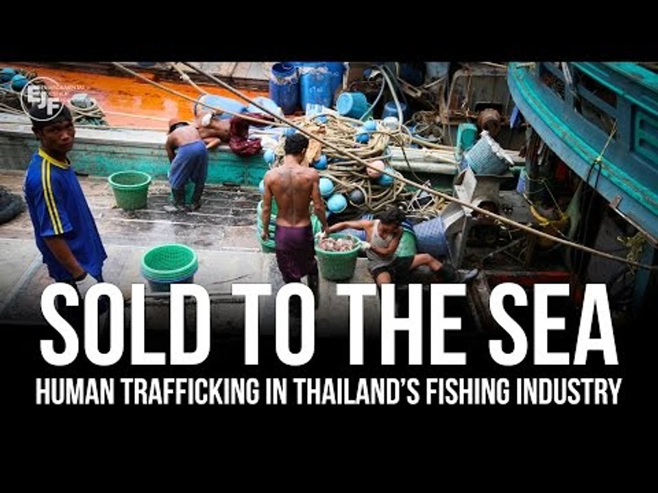 Thai fishing industry turns to trafficking: 'We witnessed girls being raped again and again'