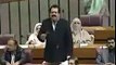 MNA PLMQ Tariq Bashir Cheema Speaking on Panama Case in NA & Bashing Nawaz Sharif- Must Watch
