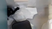 Cat obliterates toilet paper roll