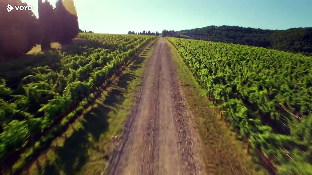 Usodno Vino I. II.