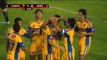 Liga MX: Jaguares vs Tigres / Jornada 1