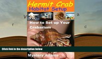 Best PDF  Hermit Crab Habitat Setup: Hermit Crab care and Habitat Set-up [Download] Online