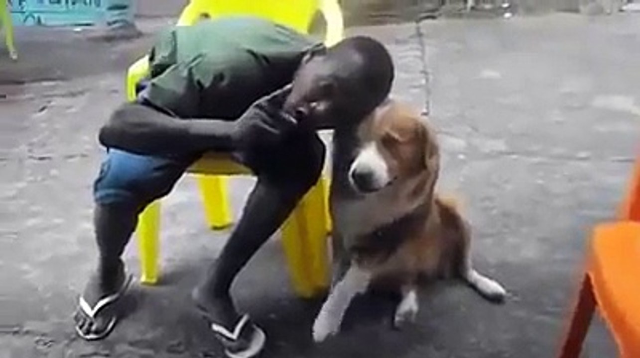 Cachorro Mil Grau