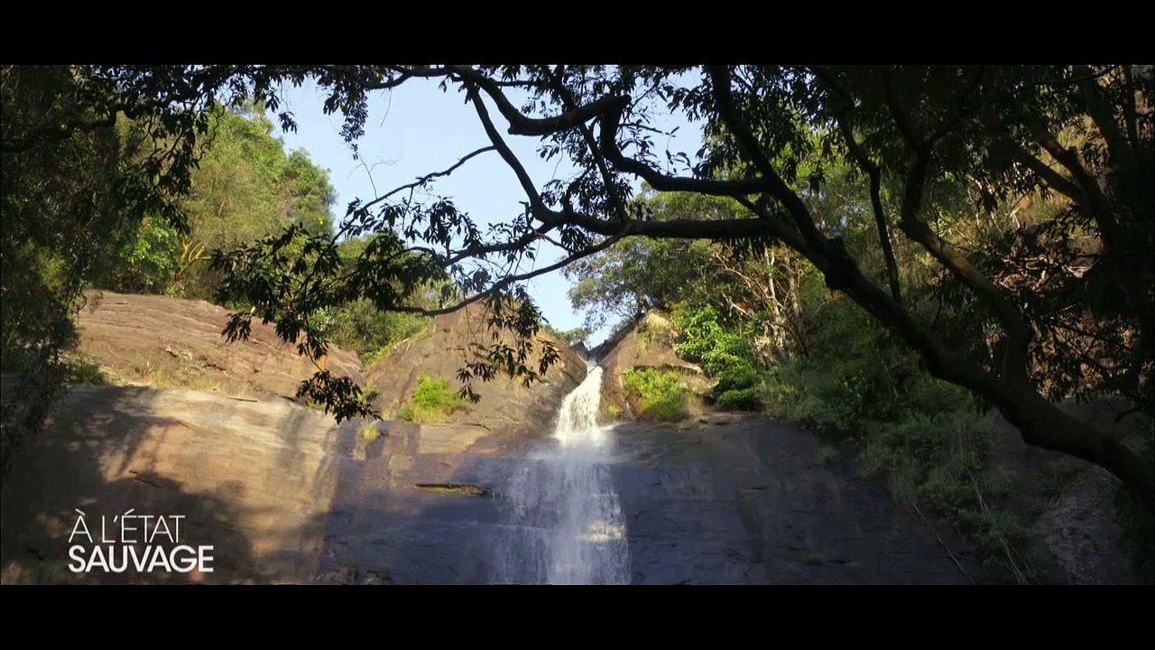 EXCLU AVANT-PREMIERE: Découvrez les 1ères images d'"A l'état sauvage" avec M Pokora diffusé ce soir sur M6 - Regardez