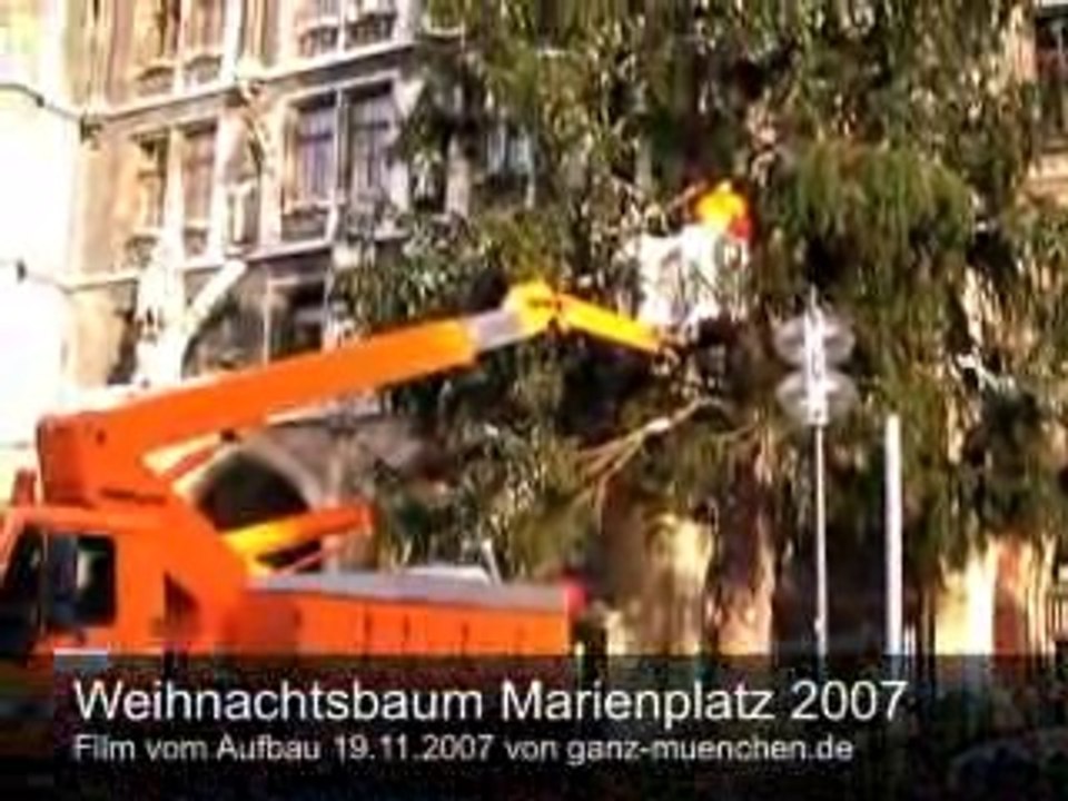 Fichte aus der ferienregion tegernsee zierte den christkindlmarkt 2007 auf dem marienplatz