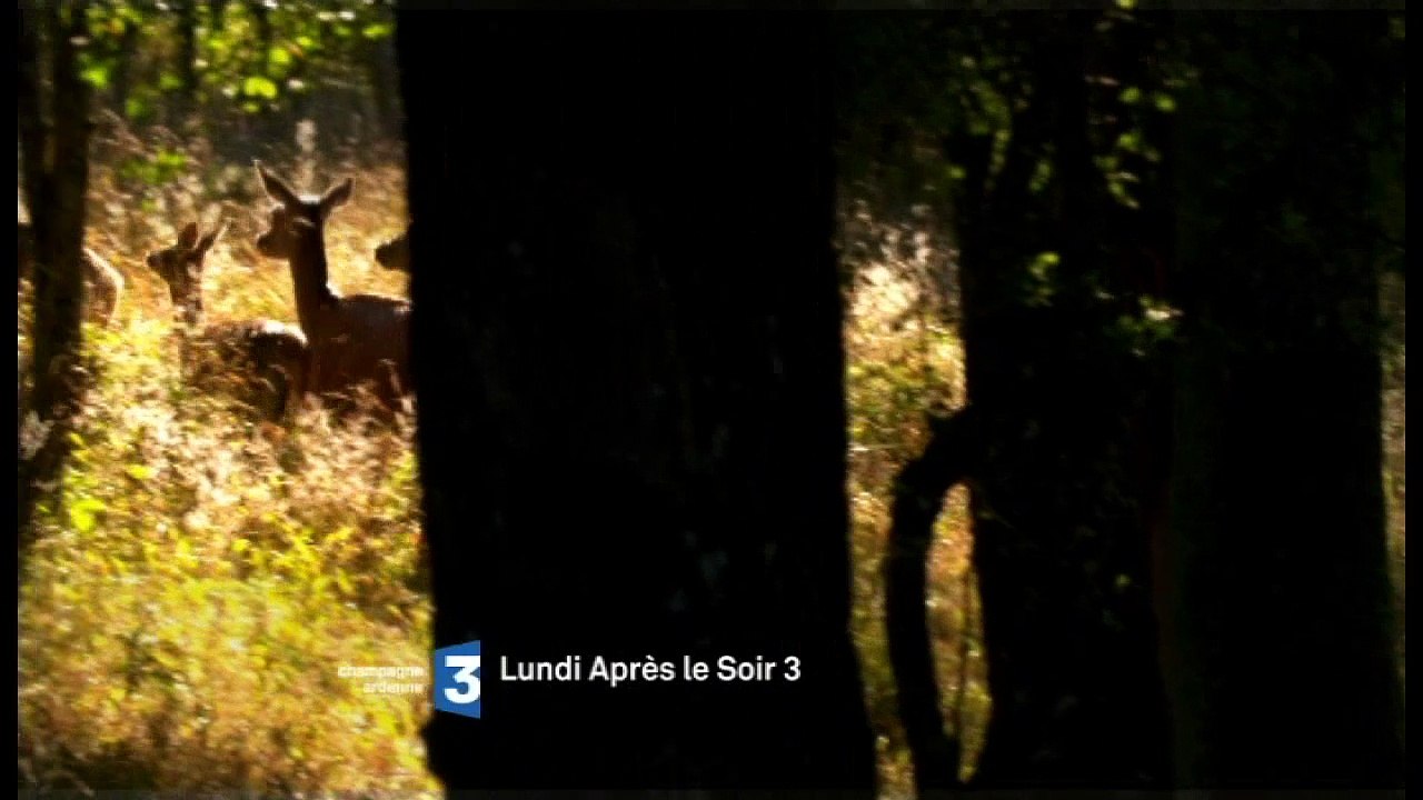 Bataille pour un part : bande annonce