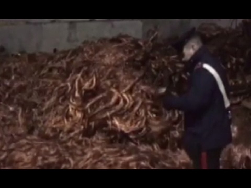 Settimo Torinese (TO) - Furti di rame, 12 arresti (02.02.17)