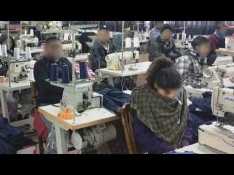 San Gennaro Vesuviano - 74 bengalesi stipati in cinque appartamenti (27.01.17)