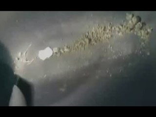 Rapallo (GE) - Fermato, lascia marijuana nell'auto della polizia (27.01.17)