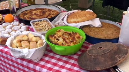 MJESEČINO SAČUVAJ BEĆARE