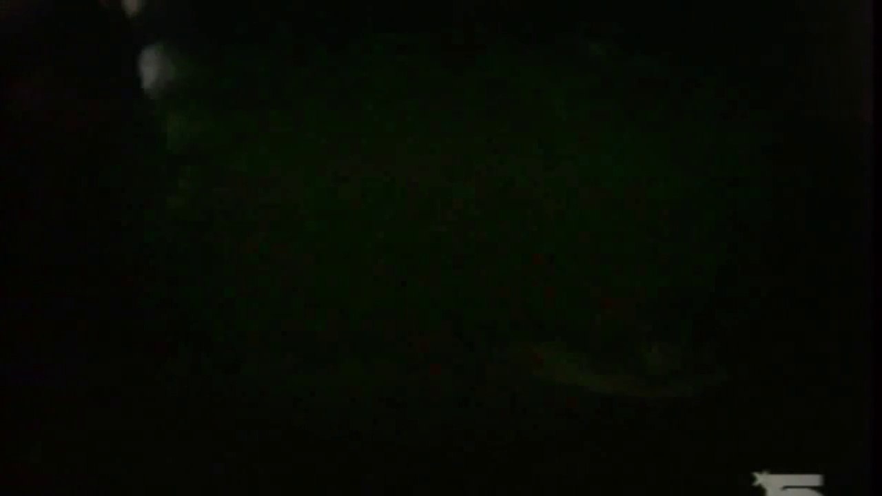 Amazons (Les Amazones - 1984)