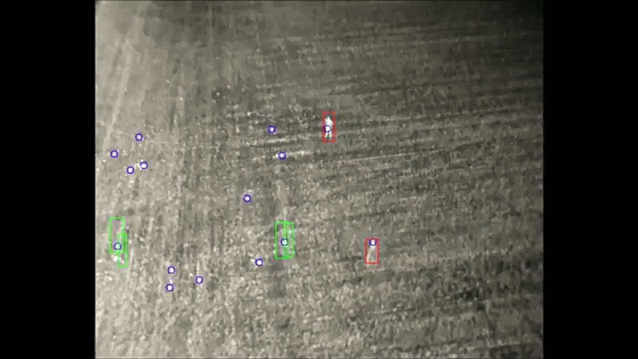 Drones y astrofísica para salvar especies en peligro de extinción