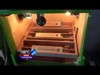 Alat Penetas Telur Ayam - NET12