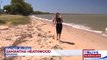 Cette plage australienne est envahie par des milliers de méduses