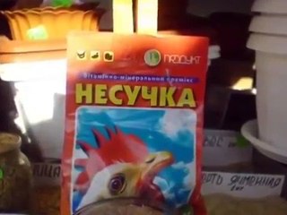 СБОРНИК РУССКИХ ПРИКОЛОВ №2 ЗА ЯНВАРЬ 2016 СМОТРЕТЬ ВСЕМ