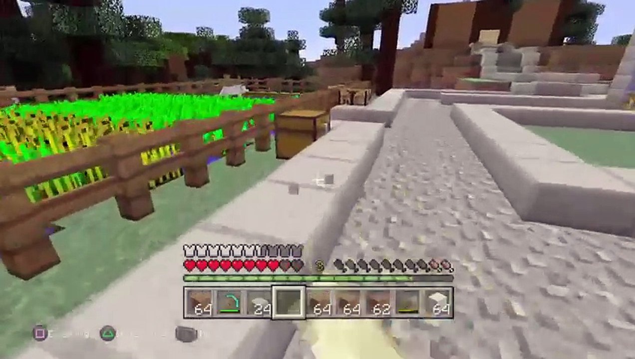 Minecraft live cu prieteni (9)