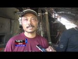 Bisnis Suling Sampah Daun Cengkeh Beromzet Ratusan Juta Rupiah - NET12