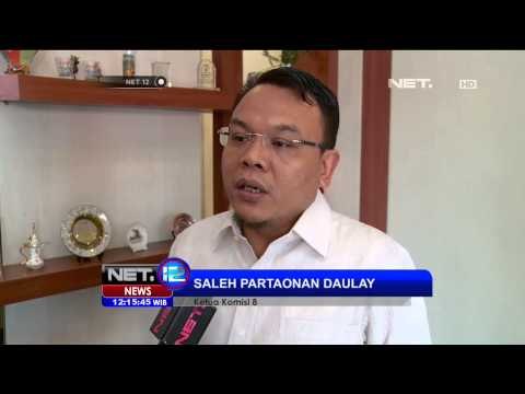 Kebakaran Hutan Meluas di Sumatera dan Kalimantan Belum Ditetapkan Sebagai Bencan Nasional - NET12