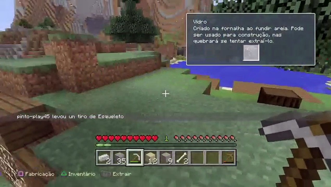 Minecraft (32)