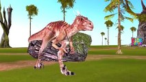 CGI Animated Short Movies | Dinosaurs Funny Cartoons For Children | Dinosaurs Vs Monster T