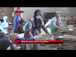Pengolahan Kopi Banaran - NET5