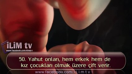 Şura Suresi {49-53} Alafasy