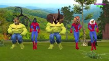 Animals Face Off Dinosaur Vs Gorilla Finger Family | Spiderman Hulk Dinosaur Finger Family Songs