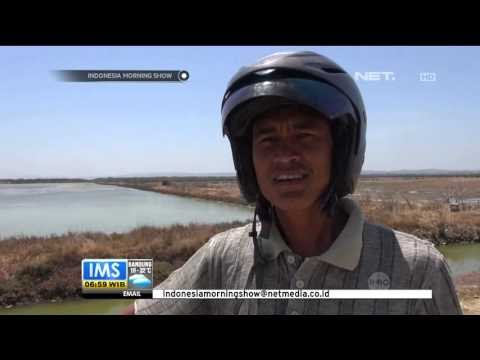 Petani Garam di Madura Mengubah Cara Produksi - IMS