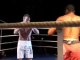 Miniature DailyMotion