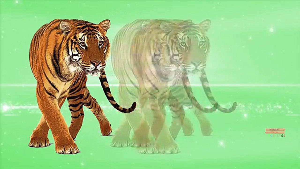 Finger Family Wild Animals Cartoons For Children Nursery Rhymes | Animals Finger Family Rhymes