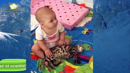Bebenin kediye yaptıklarına bir bakın
