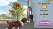 PlayStation Vita Pets: Puppy Parlour - iOS - iPad Mini Retina Gameplay
