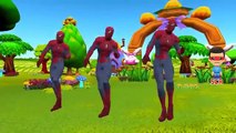Человек-паук мультфильм детей Nursery Rhymes Коллекция | Человек-паук Nursery Rhymes для детей