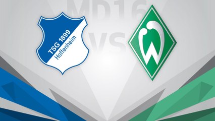 Höhepunkte 16 tes Liga Hoffenheim - Werder Bremen