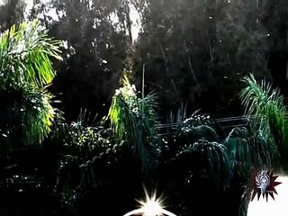 Rods são filmados aos montes sobrevoando um Pantano