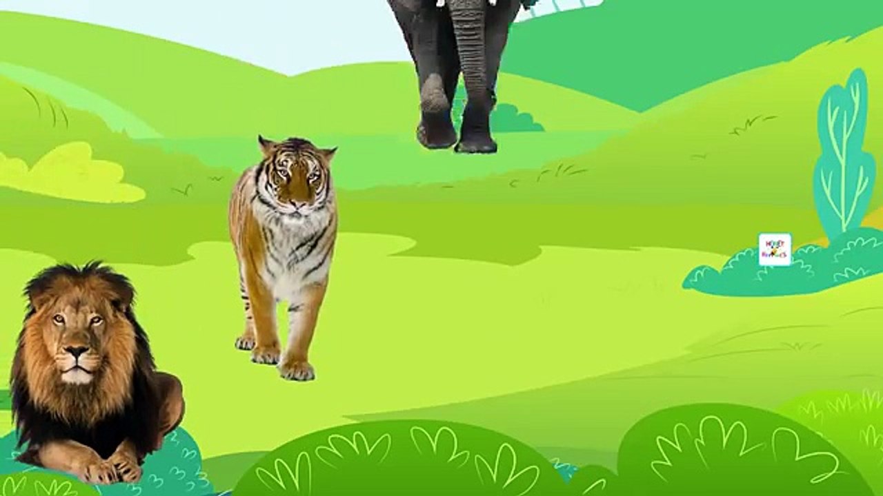 Animals Colors Funny Cartoon Collection | Learn Colors and Finger Family Children Nursery Rhymes