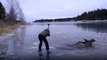Des Suédois portent secours à un élan coincé dans un lac gelé
