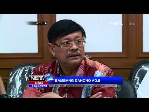Aktivis Chanee Penuhi Undangan Kementrian Lingkungan Hidup dan Kehutanan - NET 12