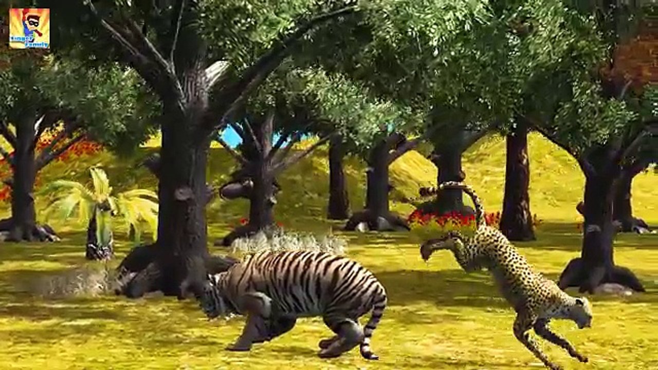 Finger Family Tiger Vs Cheetah Cartoons | Finger Family Rhymes for children