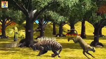 Finger Family Tiger Vs Cheetah Cartoons | Finger Family Rhymes for children