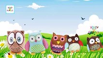 Finger Family Owl Family Nursery Rhyme | Owl Daddy Finger Nursery Rhymes & Songs For Children